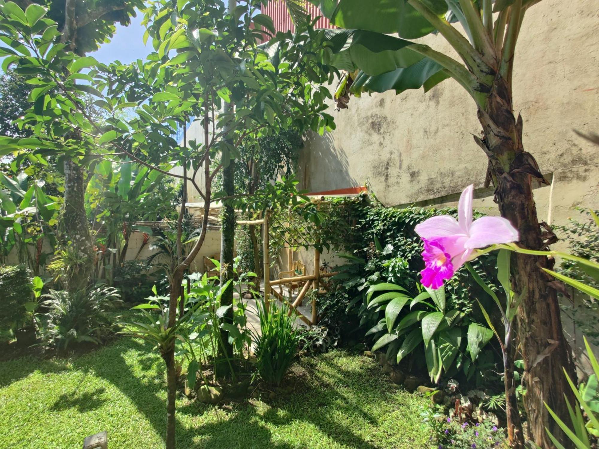 Casa De Lis Hotel & Tourist Info Centre Turrialba Dış mekan fotoğraf