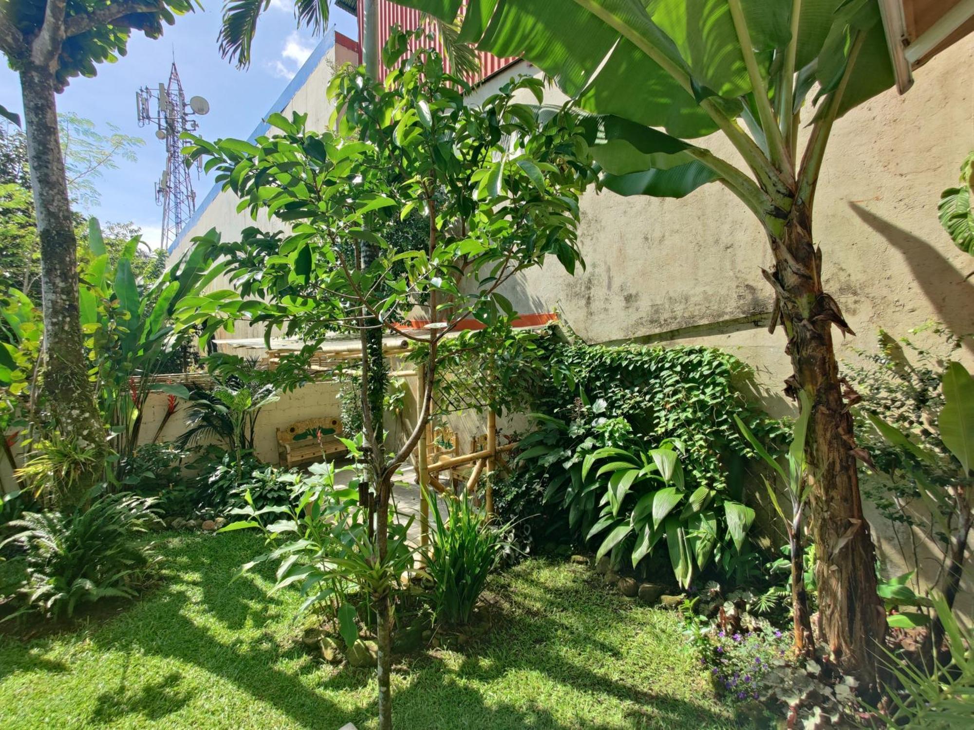 Casa De Lis Hotel & Tourist Info Centre Turrialba Dış mekan fotoğraf