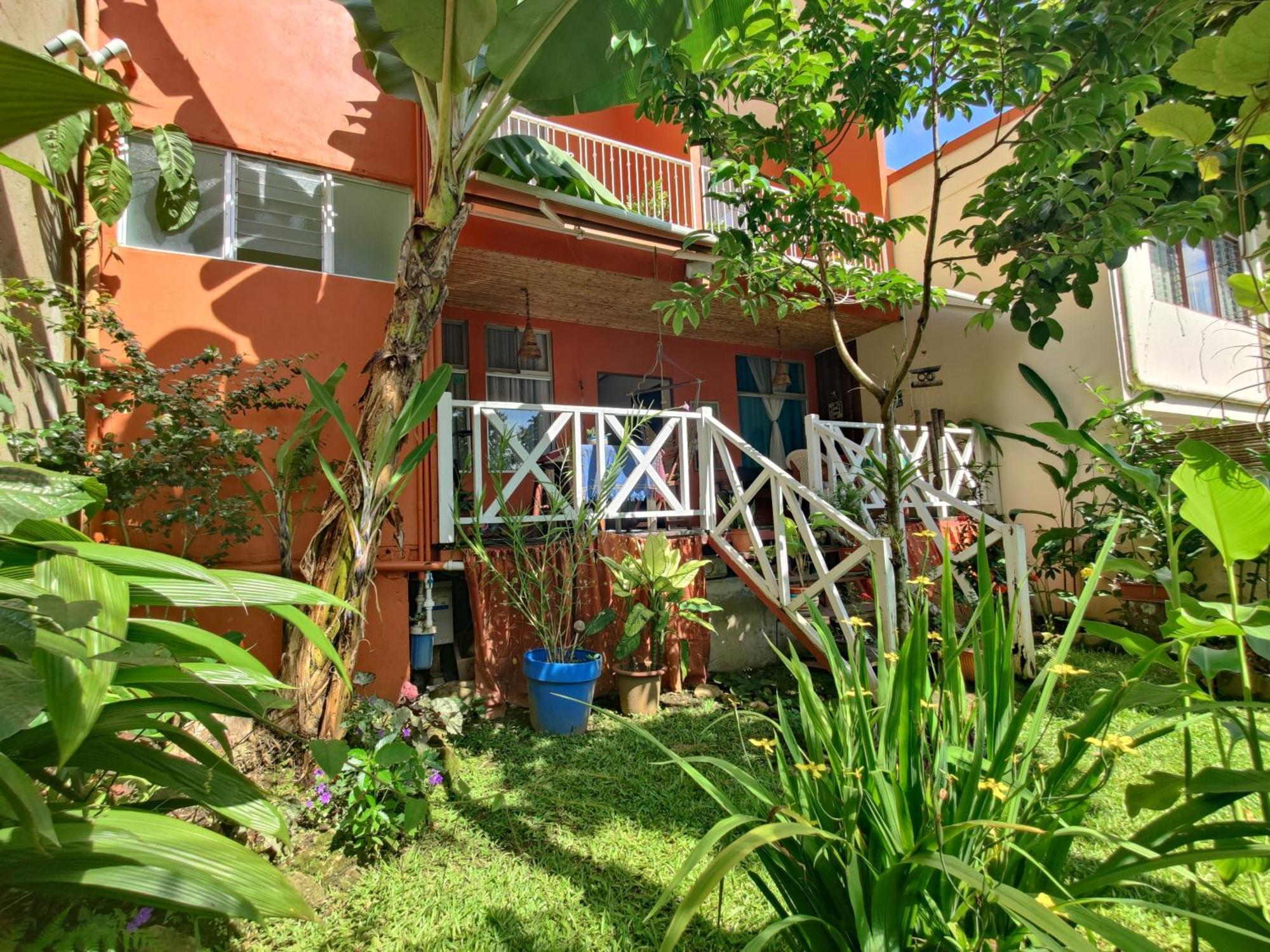 Casa De Lis Hotel & Tourist Info Centre Turrialba Dış mekan fotoğraf